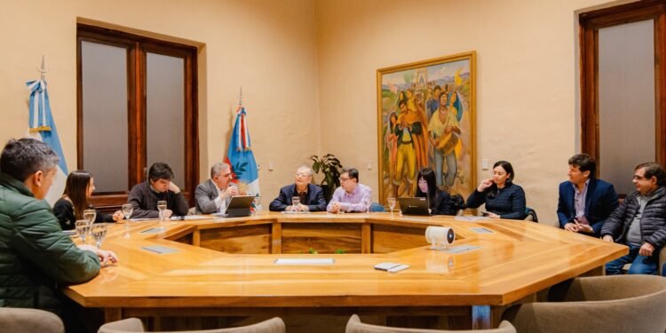 Catamarca fortalece vínculos con Japón para el desarrollo minero y tecnológico