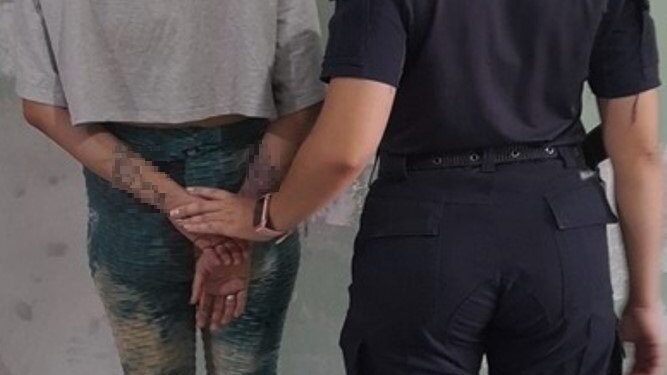 Una joven quedo detenida tras robarle a su propio padre