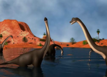 Hallan en Neuquén una nueva especie de dinosaurio saurópodo