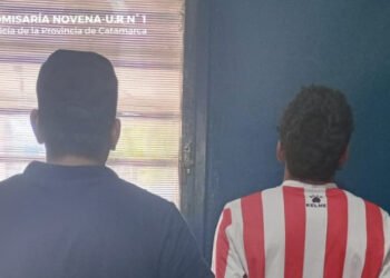 Arrestaron a un joven cuando trasladaba una luminaria del alumbrado público