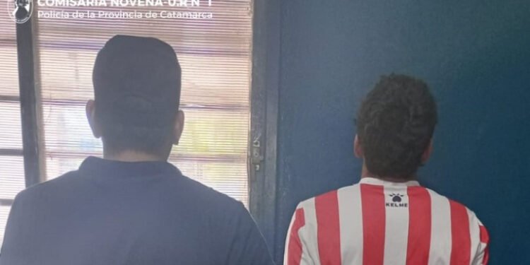 Arrestaron a un joven cuando trasladaba una luminaria del alumbrado público