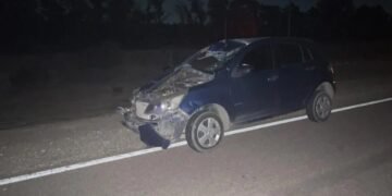 La Rioja: Una mujer catamarqueña perdió la vida tras impactar su vehiculo con un caballo en Ruta N° 60
