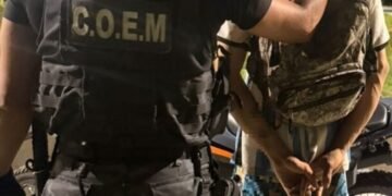 Quedo detenido por robarse una Palmera del Parque Adán Quiroga y circular en bicicleta de dudosa procedencia