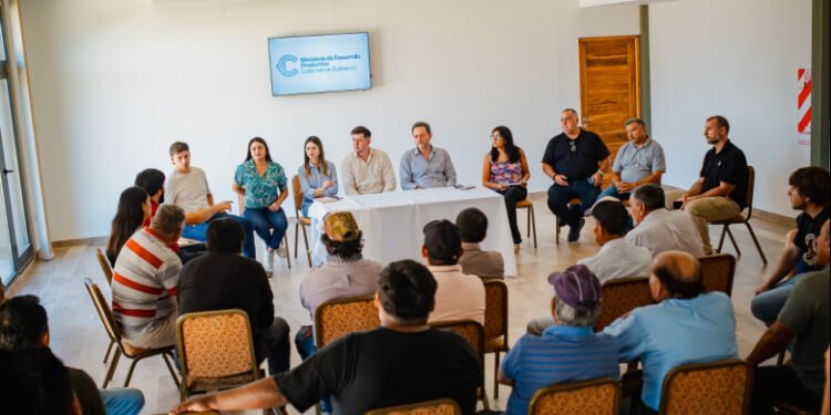 Tras reunión con productores, el Gobierno garantiza un precio de 170 por kilo de uva para mosto