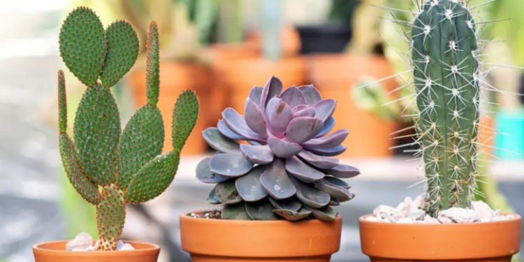 Abril llega con nuevos talleres en la Casa de la Cultura