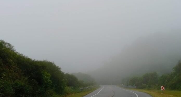 Derrumbes y niebla: piden circular con precaución en rutas provinciales