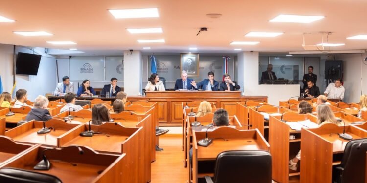 Diputados avanzan en el análisis de proyectos sobre reiterancia delictiva y banco de perfiles genéticos