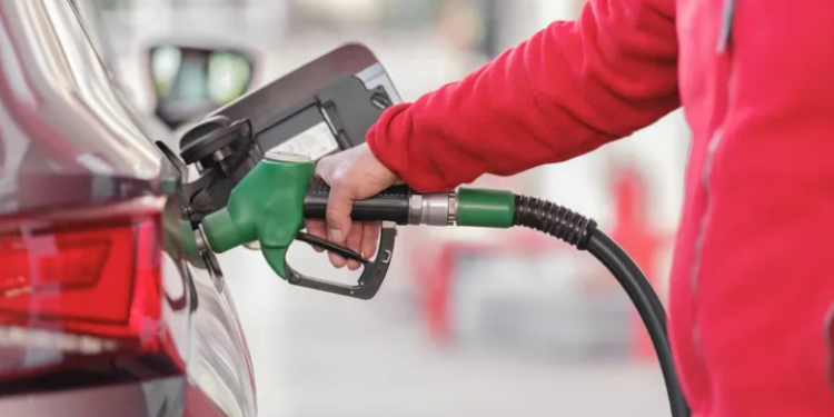 Para frenar las subas, el Gobierno anunció cambios en la conformación de las naftas