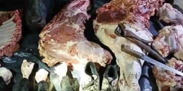 Secuestran un animal faenado de la localidad de Miraflores