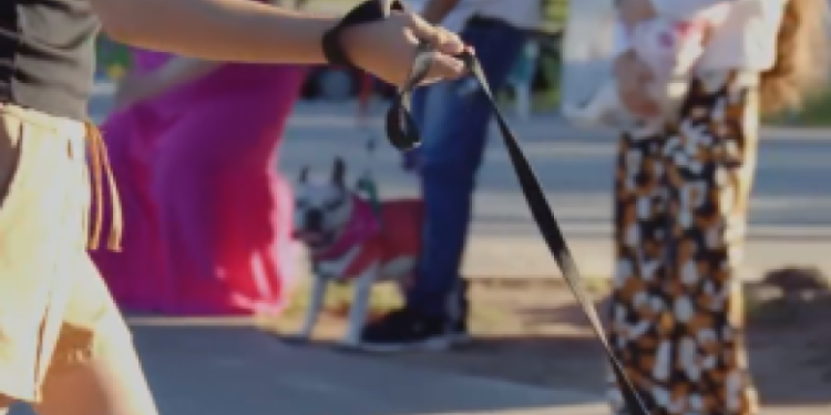 🎉🐾 Gran jornada recreativa en la previa del Día del Animal y el Día del Emprendedor 🐾🎉