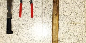 Sur de la Capital: Un detenido por violencia de género y secuestran gran cantidad de armas blancas