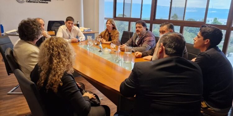 Transporte: el Ministerio avanzó en una mesa de trabajo con empresas para sostener el servicio