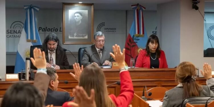 El Senado convirtió en ley el proyecto minero «Diablillos-Plata»