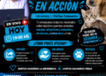 🔥🐾 PROTECCIONISMO EN ACCIÓN 🐾🔥