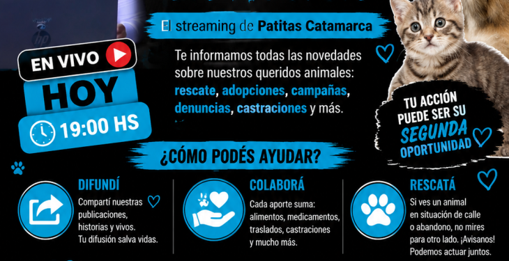 🔥🐾 PROTECCIONISMO EN ACCIÓN 🐾🔥