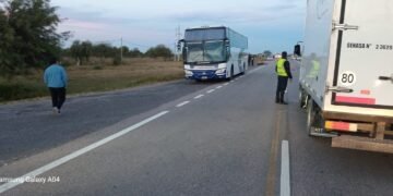 Ruta 38: un colectivo embistió a un animal equino en Nueva Coneta