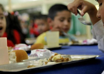 Un estudio de la UBA y el Conicet alertó sobre la malnutrición infantil en Argentina