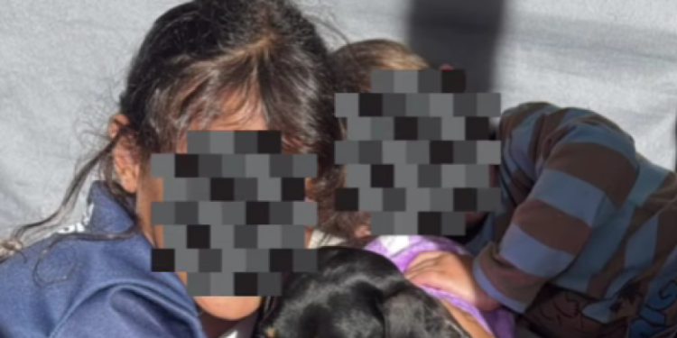 ❤️ ¡TRAS 3 DÍAS POR FIN APARECIÓ EVE! LA ESPERANZA LE GANÓ A TODO ❤️🐾