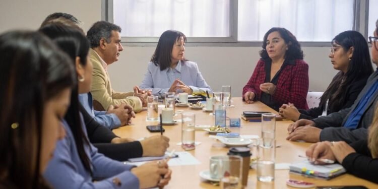 El Senado avanzó con nuevas entrevistas para cargos judiciales