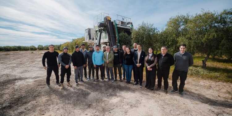 Pomán consolida su perfil olivícola con inversiones y proyección de crecimiento