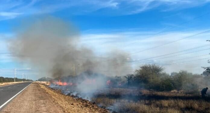 Refuerzan prevención ante la temporada alta y un aumento de incendios forestales