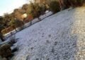 Bomba polar en la Argentina: frío extremo, alertas en muchas provincias y nevadas en Buenos Aires