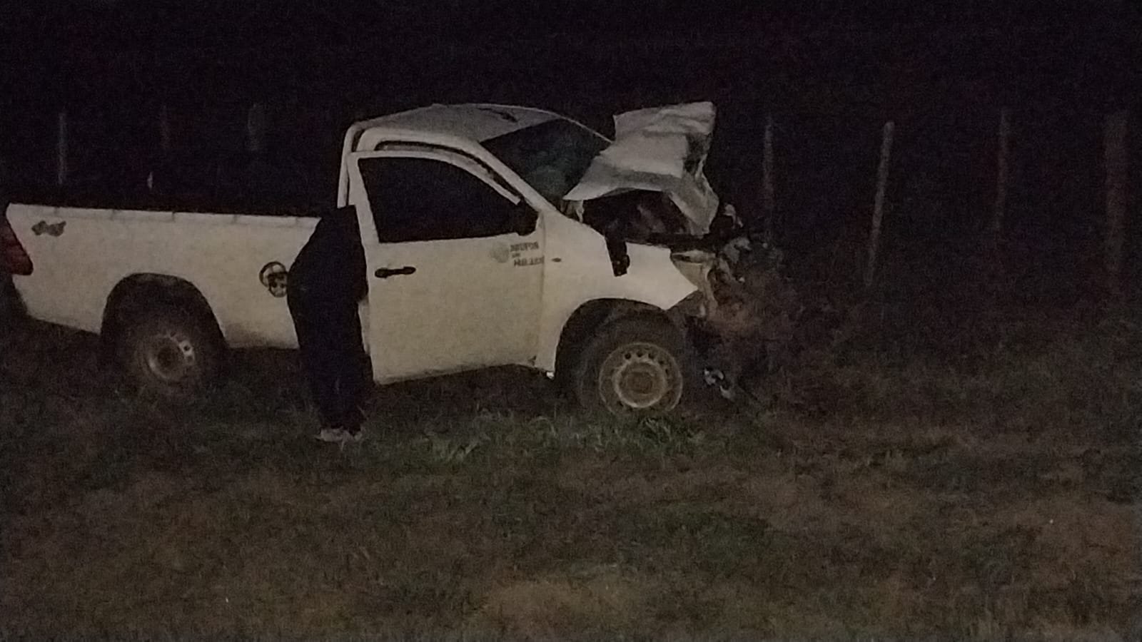Los Altos: Una camioneta impactó contra un animal  en ruta Nac.64