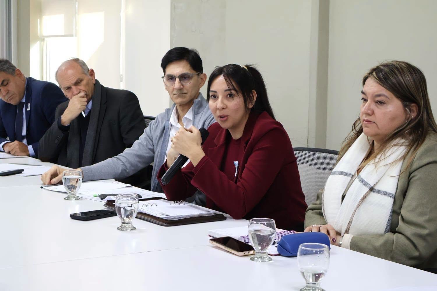 Ministros de Salud del Norte Grande acordaron acciones conjuntas para garantizar las prestaciones de Incluir Salud
