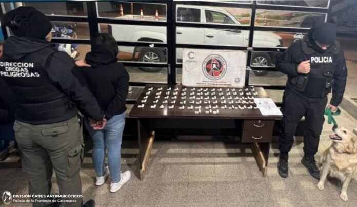 Secuestran más de un kilo de presunta cocaína en El Portezuelo y detienen a una mujer