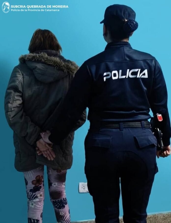 Recuperaron un celular robado y aprehendieron a una mujer en la Capital