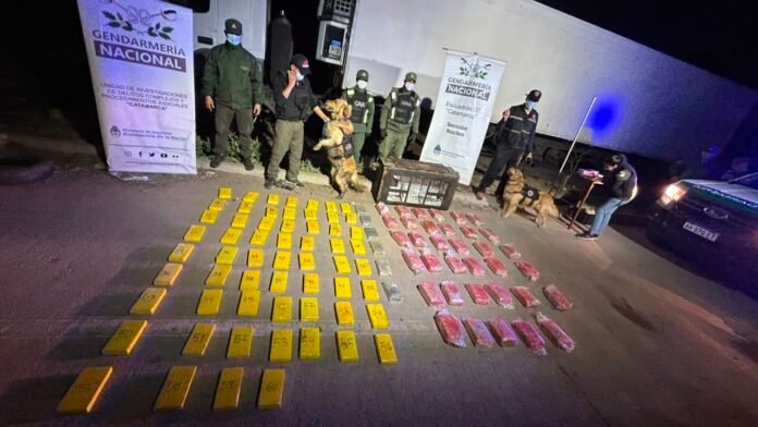 Se profundizó la inspección en el camión secuestrado en Catamarca y hallaron otros 68 kilos de cocaína y 36 kilos más de marihuana