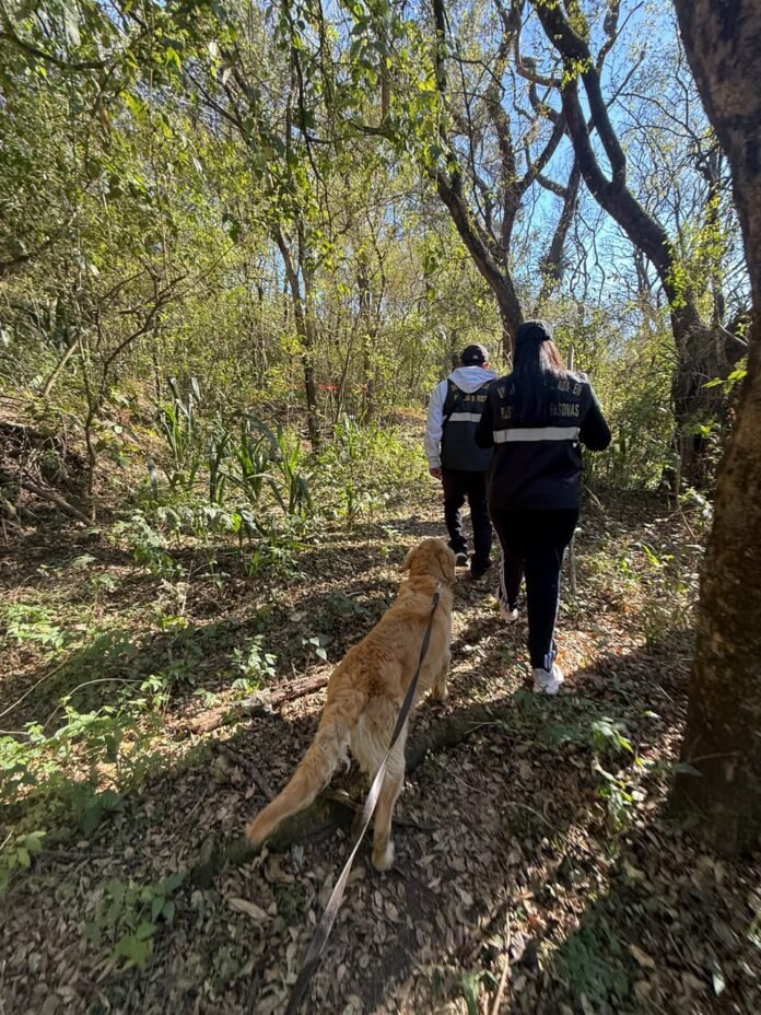 Canes de Catamarca colaboraron en la búsqueda de un joven desaparecido en Jujuy