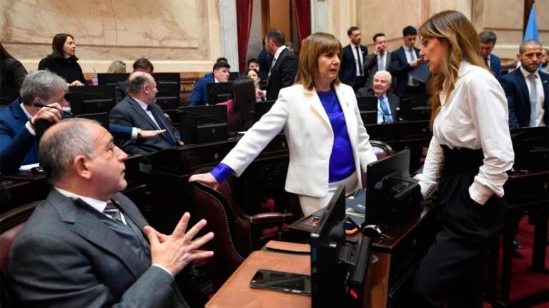 El Senado postergó una semana el dictamen del “Super-RIGI” por cambios que pidieron los aliados