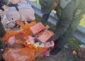 Hallaron casi 50 kilos de marihuana y más de 4 kilos de cocaína ocultos en peluches de capibara