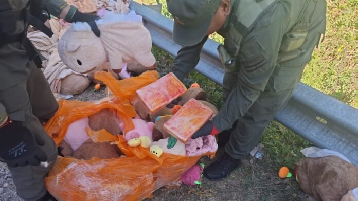 Hallaron casi 50 kilos de marihuana y más de 4 kilos de cocaína ocultos en peluches de capibara