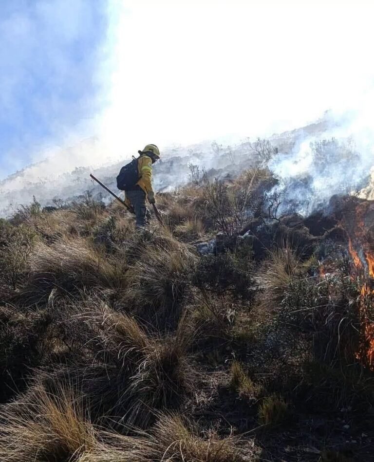 Los incendios no dan tregua en Andalgalá