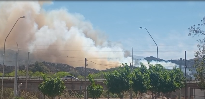 Por los incendios, se suspende la Jornada de Campo prevista en Banda de Varela