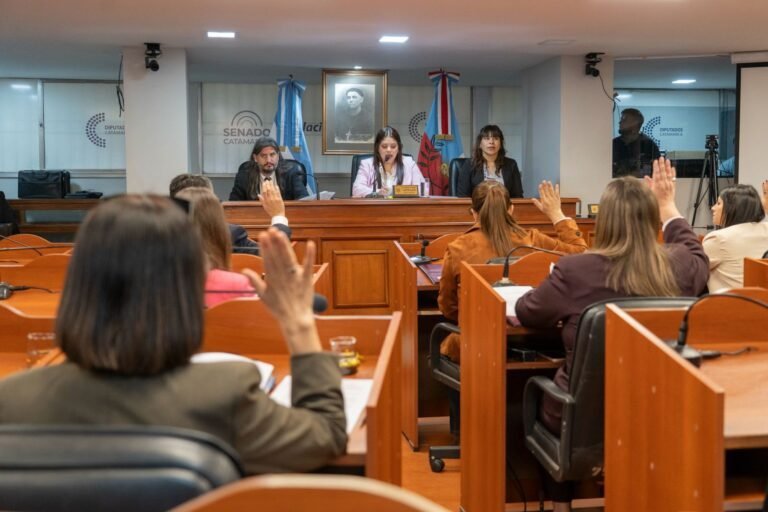 Sancionan la ley de Registro de Agresores Sexuales y avanza la adhesión al régimen de Zona Franca