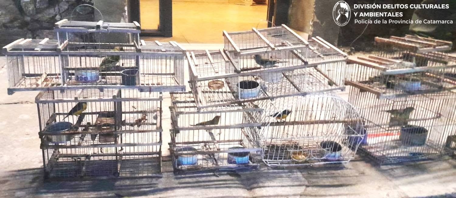 Capital: Procedimiento contra el tráfico de fauna silvestre