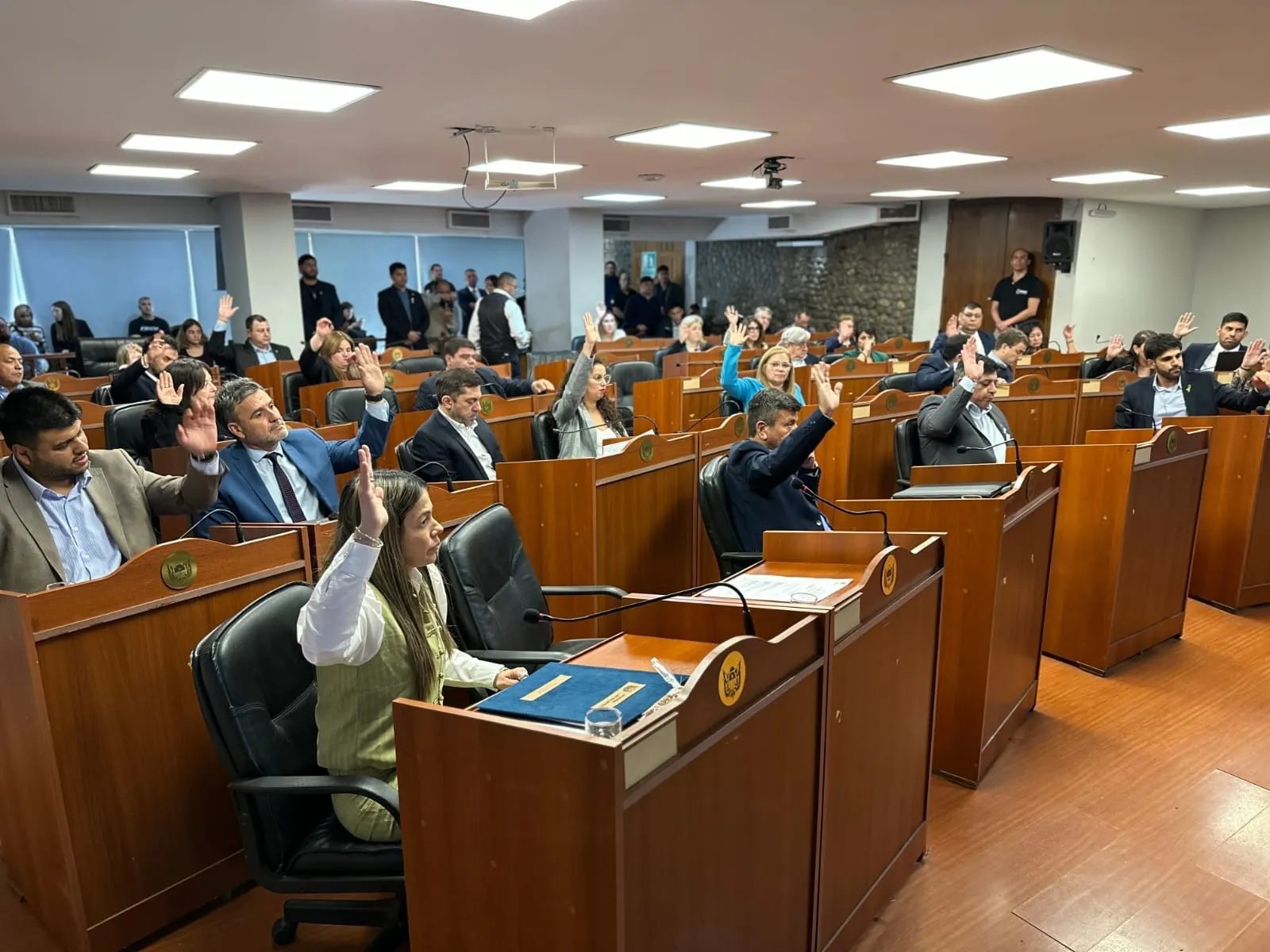 Diputados avanzó con la adecuación del Régimen Penal Juvenil y expropiaciones en Paclín y Pomán