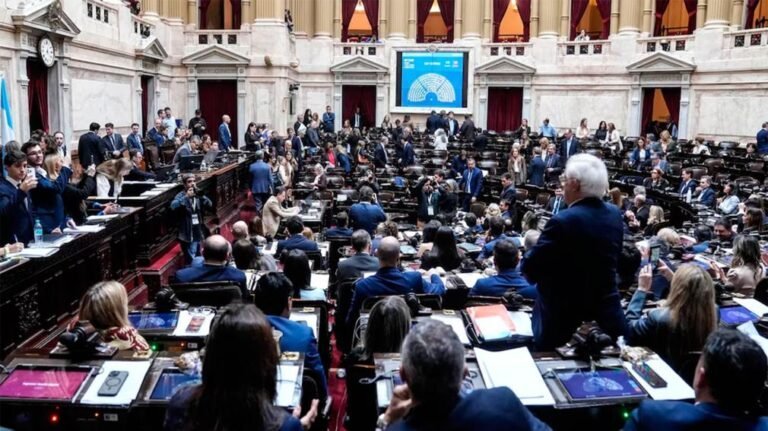 La nueva ley de discapacidad obtuvo media sanción con amplio respaldo opositor