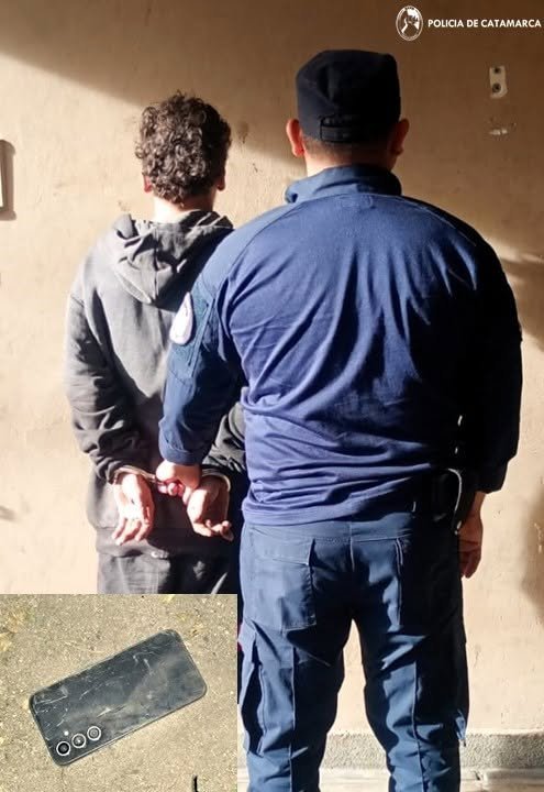 Un detenido por arrebato en avenida Alem y calle Buenos Aires